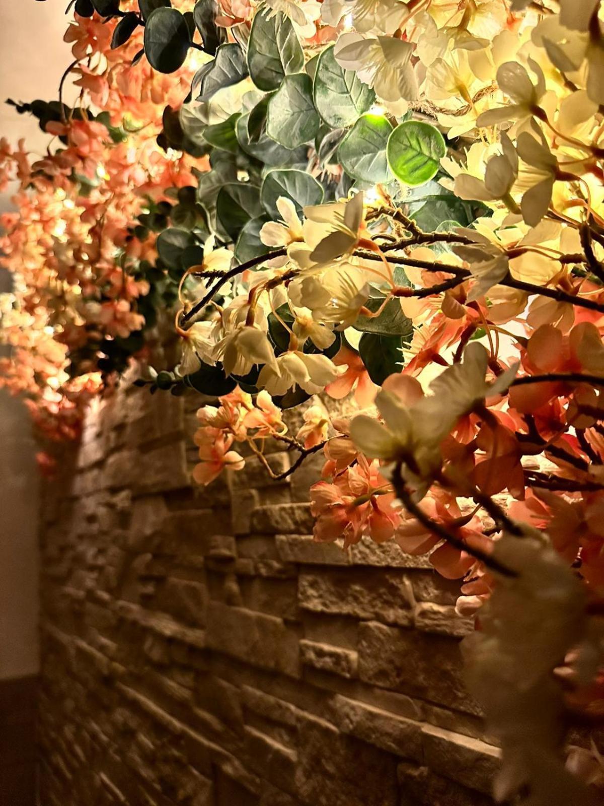 Apartmán Bulle De Charme Avec Vue Perpignan Exteriér fotografie